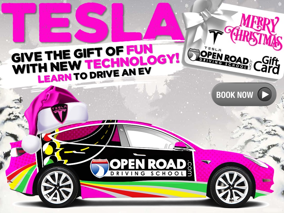 25 Tesla Christmas Promo