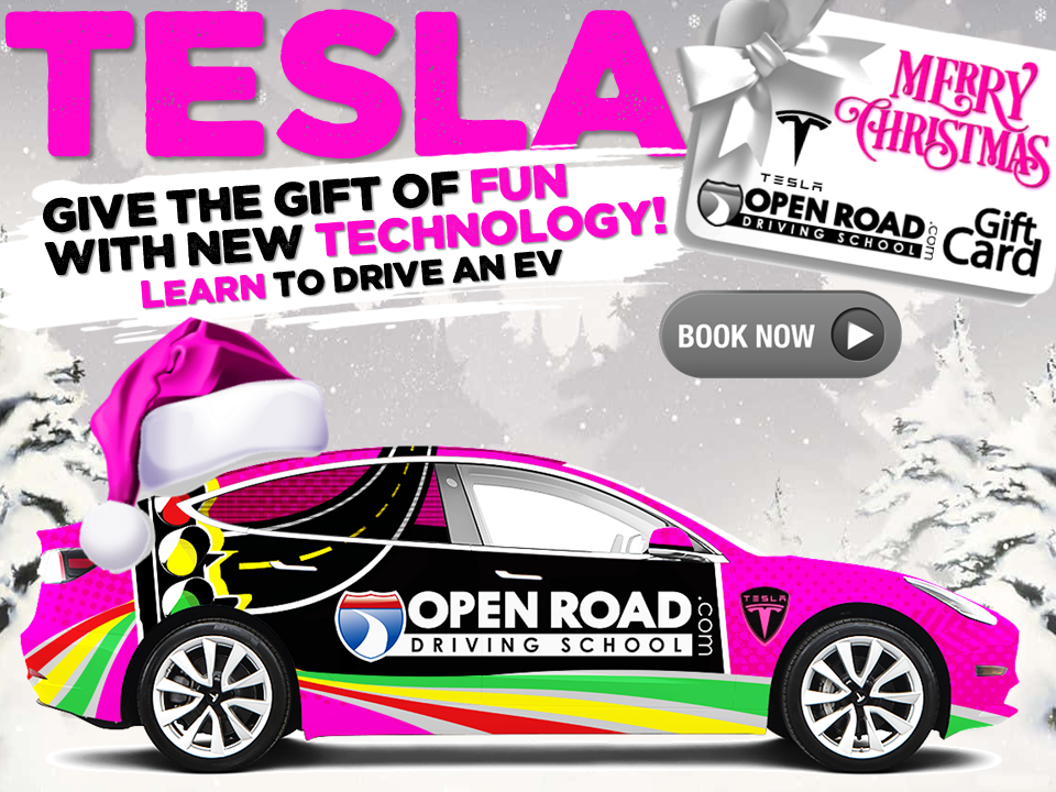 26 RYL SLIDER Tesla Winter Promo
